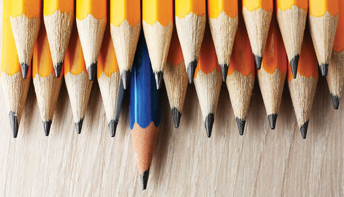 set of sharpened yellow pencils with one blue pencil sticking out