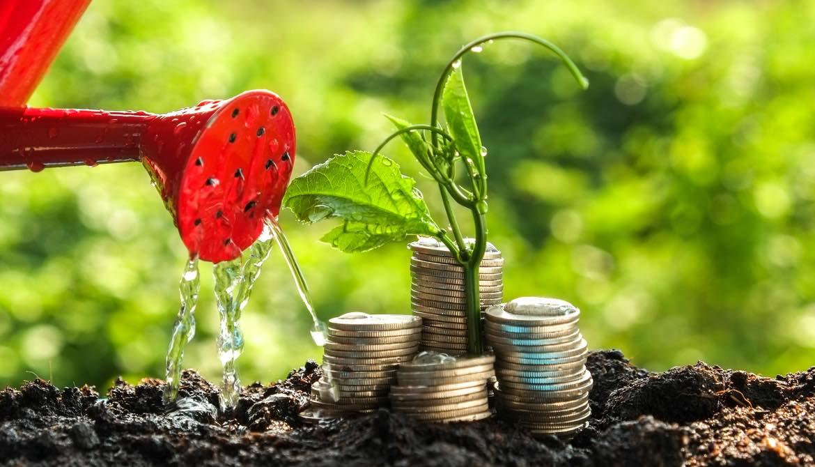 watering a plant surrounded by coins