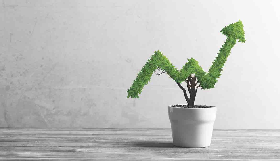 A green topiary plant in the shape of an increasing bar chart inside a white pot sits on a wooden table