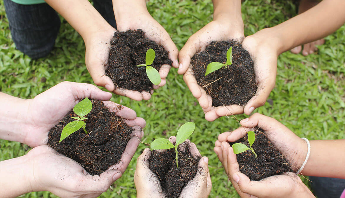 group of people in a circle each holding out their cupped hands holding soil and a plant sprout