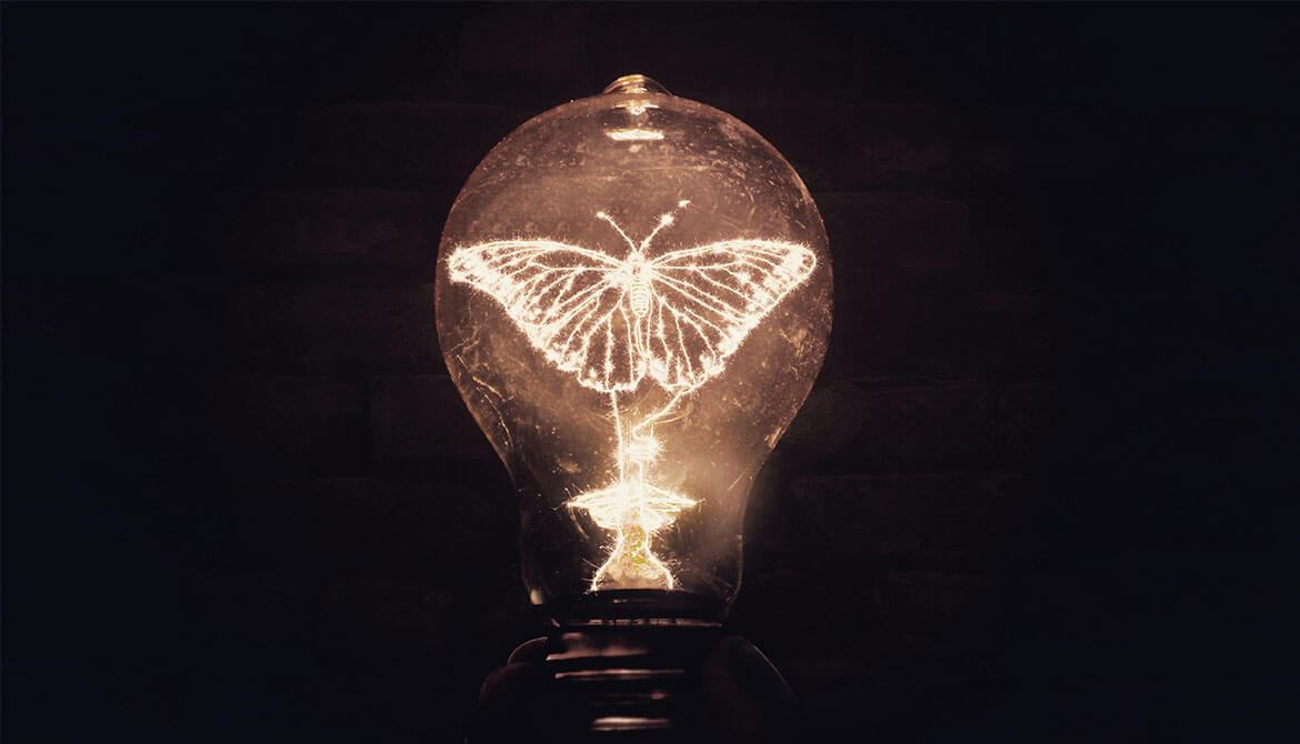 glowing lightbulb with a butterfly shaped filament