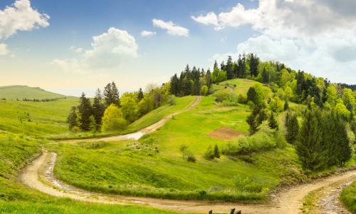 A winding dirt road that splits and into multiple paths to the top of a green rolling hill