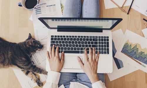 employee works on floor with laptop next to lounging cat and surrounded by papers