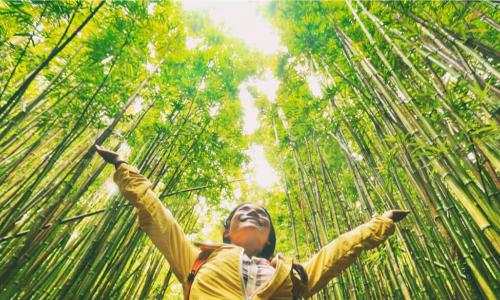 ecofriendly tourist with arms up in the forest