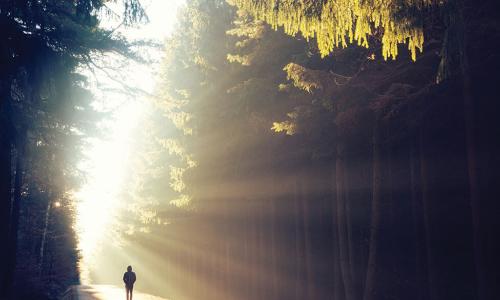 person walking along forest path with sun shining brightly in the distance 